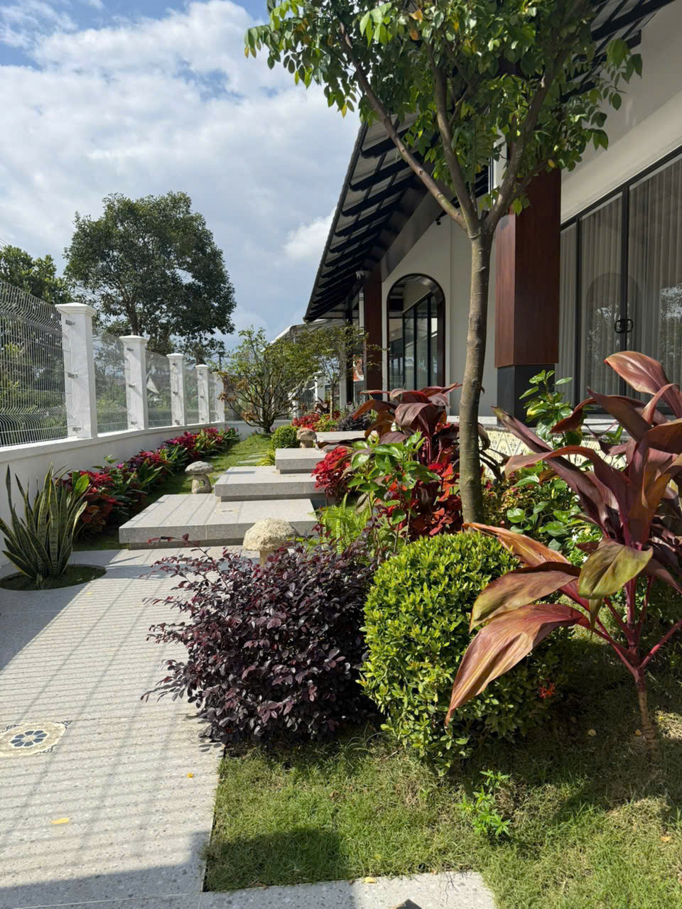 Dịch vụ chăm sóc cây cảnh