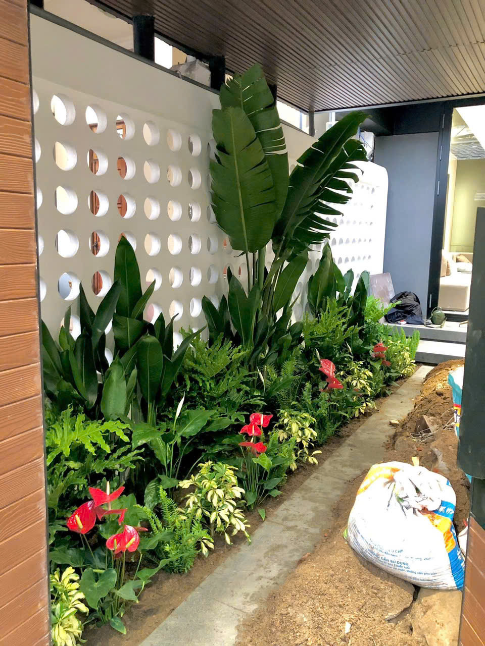 Cho thuê cây cảnh văn phòng