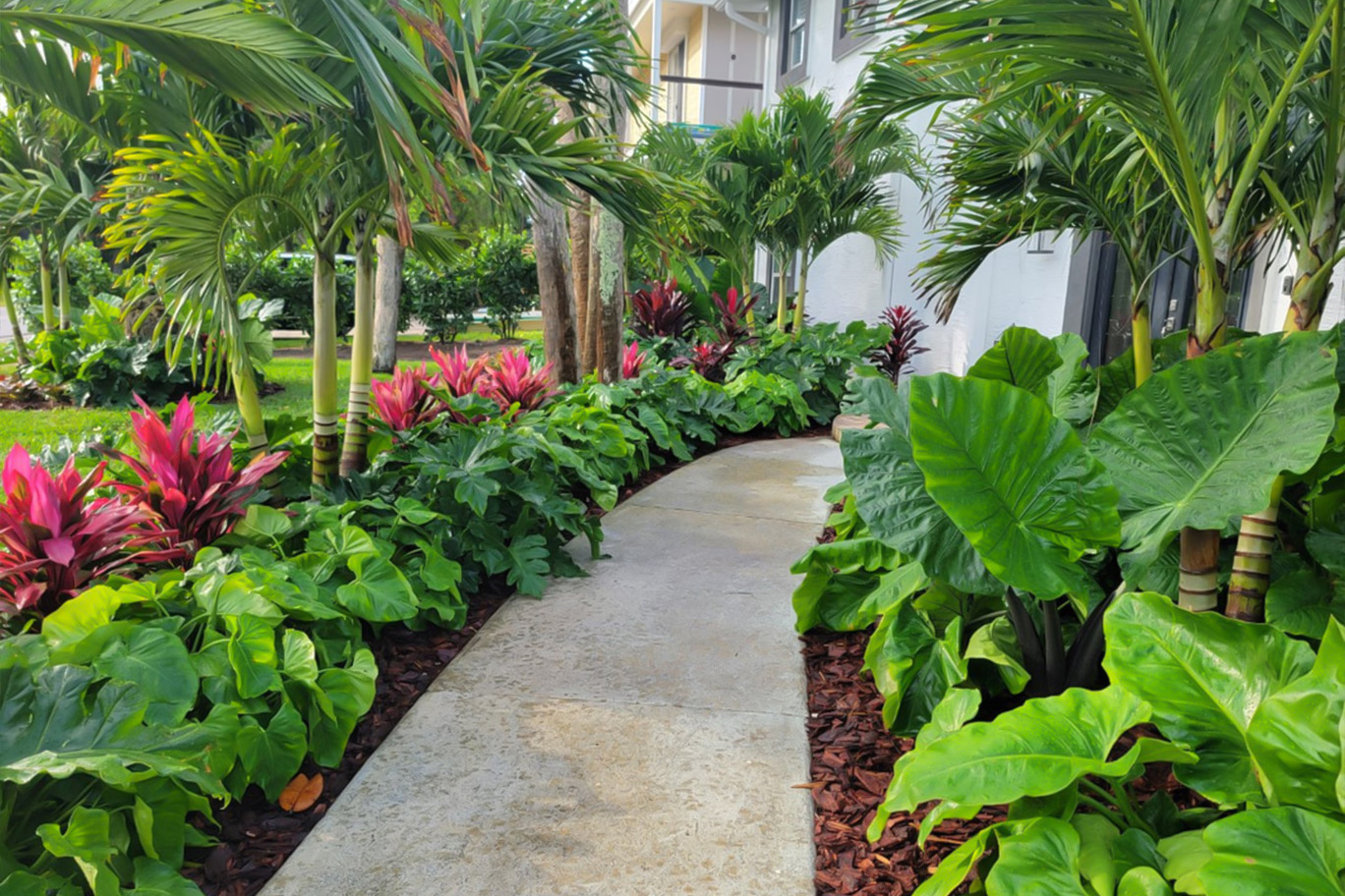 Dự án thi công sân vườn biệt thự tại Quận Hải Châu Đà Nẵng