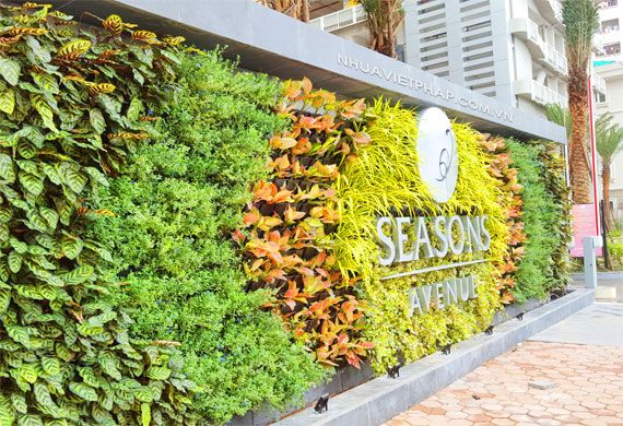 Dự án thi công sân vườn nhà phố tại Quận Cẩm Lệ Đà Nẵng