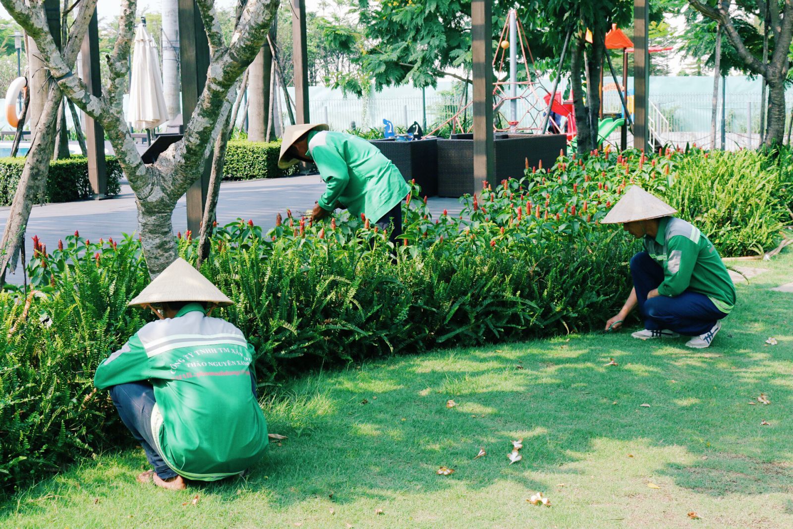 Bảo dưỡng cảnh quan, chăm sóc cây xanh công ty